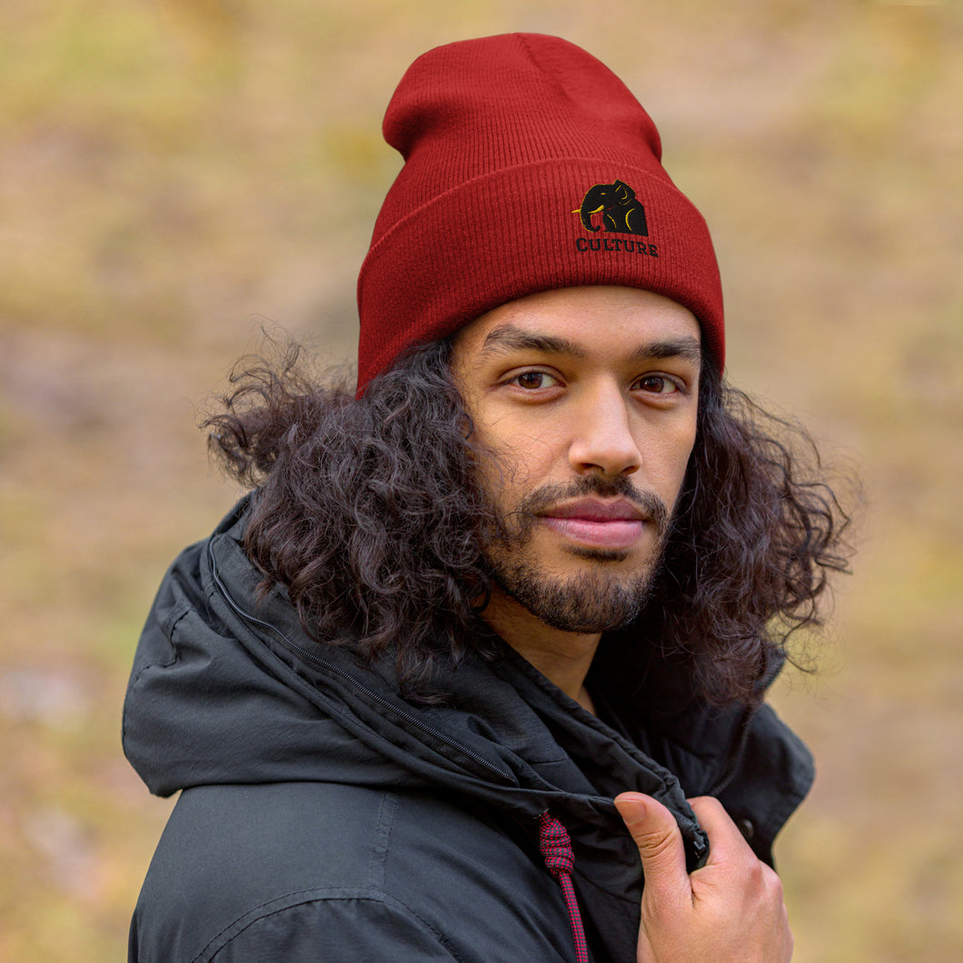 Land of Culture Beanie